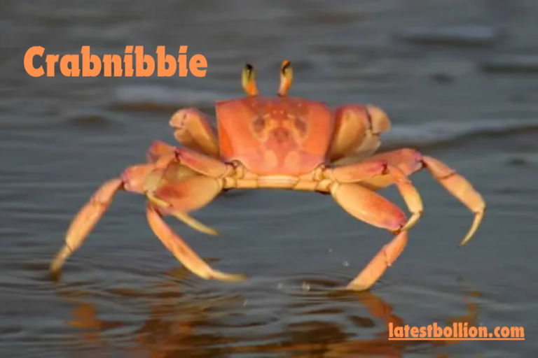 Crabnibbie